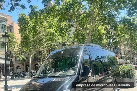 CarVan Bus SL, minibus hire company in Cervelló (2)