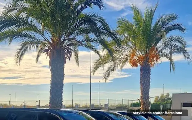 Chauffeur Privé Espagne, servei de xofer a Barcelona