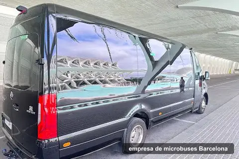 Pandabus lloguer minibus amb conductor, minibus hire company in Barcelona (2)