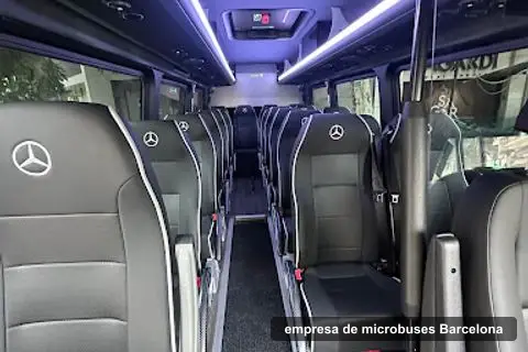 Pandabus lloguer minibus amb conductor, minibus hire company in Barcelona (3)